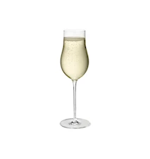 Sky Champagneglas 25 cl 6-pack Klar