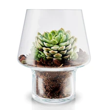 Vase en verre succulentes Ø 15 cm