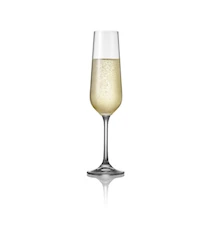 Enjoy Champagneglas 20 cl 4-pak Klar