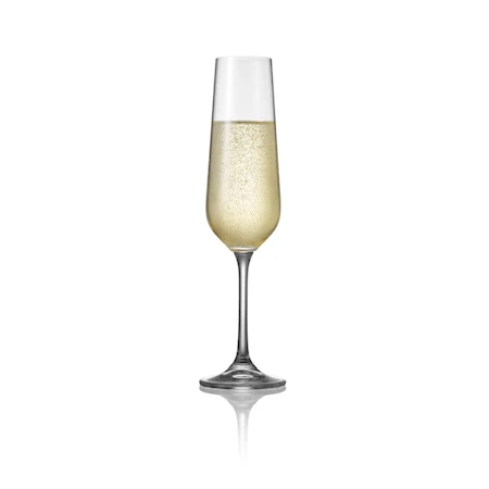 Enjoy Champagneglass 20 cl 4-pakning Klar