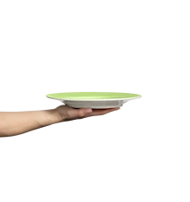Basic Lautanen Vihreä 25 cm