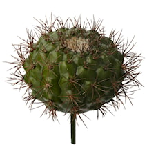 Flora cactus H20 cm