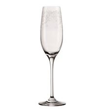 Chateau Champagneglass 20 cl 6-pakning Klar/Mønster