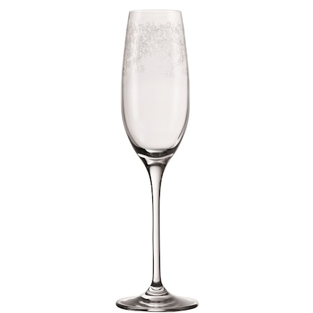 Chateau Champagneglass 20 cl 6-pakning Klar/Mønster