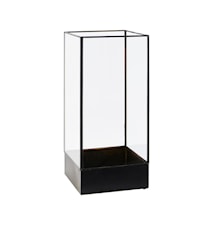 Boîte Plant Display rectangulaire noir/verre