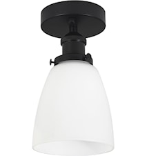 Kappa Taklampa Svart Opal 14cm