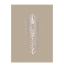 Poster Feather
