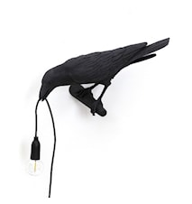 Bird Lamp Looking negro