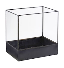 Display box, Plant, Sort antik ,l: 21 cm, w: 30 cm, h: 30 cm