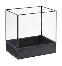Boîte Plant Display carrée noir/verre