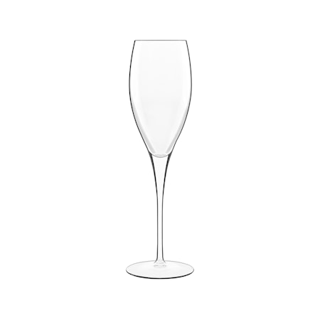 Michelangelo Gold Champagne/Proseccoglas 4 st