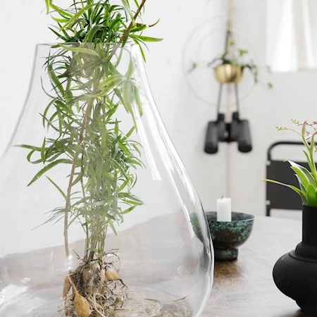 Vase Terrarium Glass 35cm