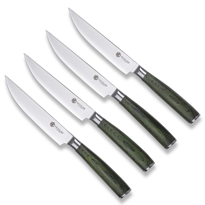 Hexclad Lihaveitset 4-pakkaus 13 cm Teräs Vihreä