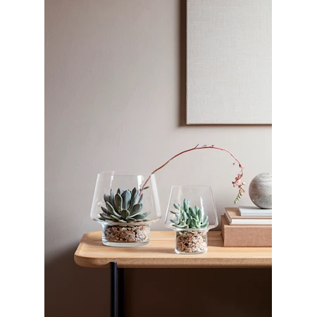 Vaso in vetro per succulente Ø15cm