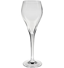 Champagneglass Brio 16cl