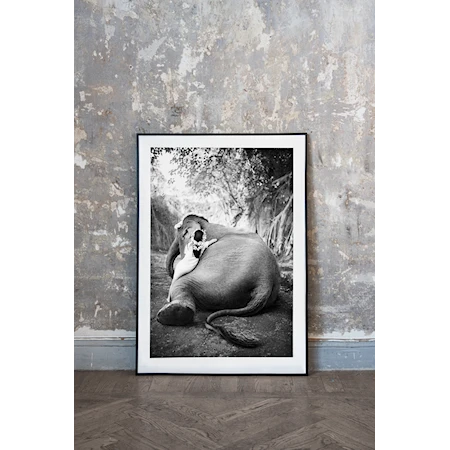 Adele & Ketut Print fotográfica 100x70