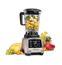 Professional Blender Touch Control