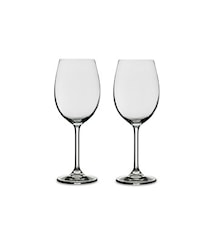 White Wine Glass 2-pack 45 cl