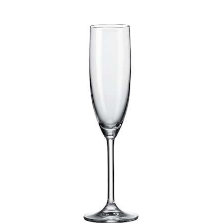 Daily Champagneglas 20 cl