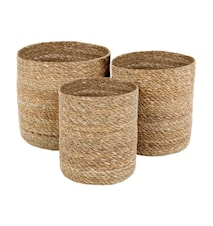 Emil Kurv Søgræs Cylinder Small 3-pak