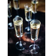 Hurray Champagneglas 6-pack Räfflad/Klar