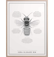 'Våra älskade bin' 30x40 cm