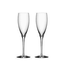 More Champagne glas 18 cl 2-pack