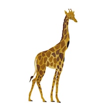 Veggdekorasjon Giraffe Yellow 50 x 96cm