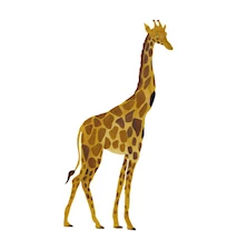 Väggdekoration Giraffe Yellow 50x96cm