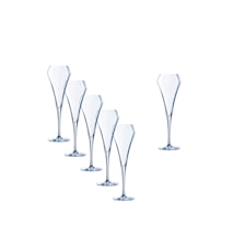 Open Up Champagneglass 20 cl 6-pack Klar