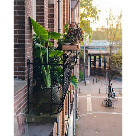 Balkongbar Bamboo Rektangulärt Räcke Högt Natur