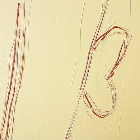 Abstrakt Målning Visage 120x160 cm