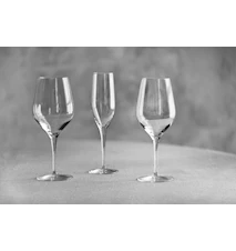 White wine glass 42 cl 4 Pack