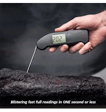 Thermapen® Professional Rot