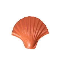 Hook Shell Orange