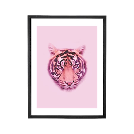 Poster Tiger med Ram Svart