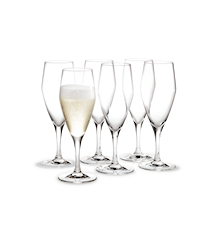 Perfection Champagneglas Klar 23 cl 6-pak
