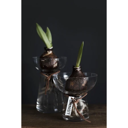 Onion Vase Glass 15 cm