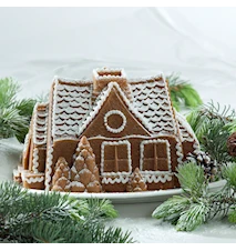 Cake Pan Gingerbread house