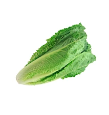 Siemenpussi Roomansalaatti