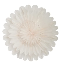 Lotus Julstjärna 60 cm Vit