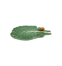 Cabbage Leaf With Snail Natural