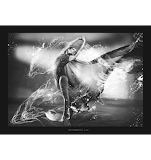 Animal Instinct Maui´s Dolphin Póster