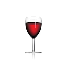 Wine Glass 300ml 2 pieces Clear