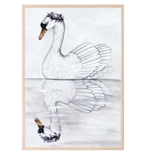 Poster Swan Reflection 21 x 30 cm