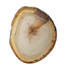 Bouton Nobilia 6 x 4,5 cm - marron clair/or