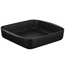 Techniq Roaster 33x33 cm