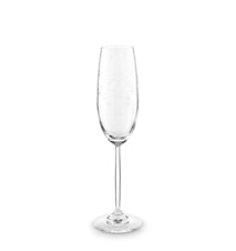 Basics Champagneglass Flute Etching 23 cl