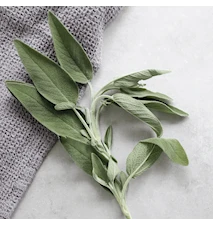 Muskatellisalvia Eteerinen öljy 10 ml