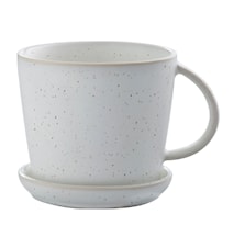 Taza de té con plato blanco/topos
